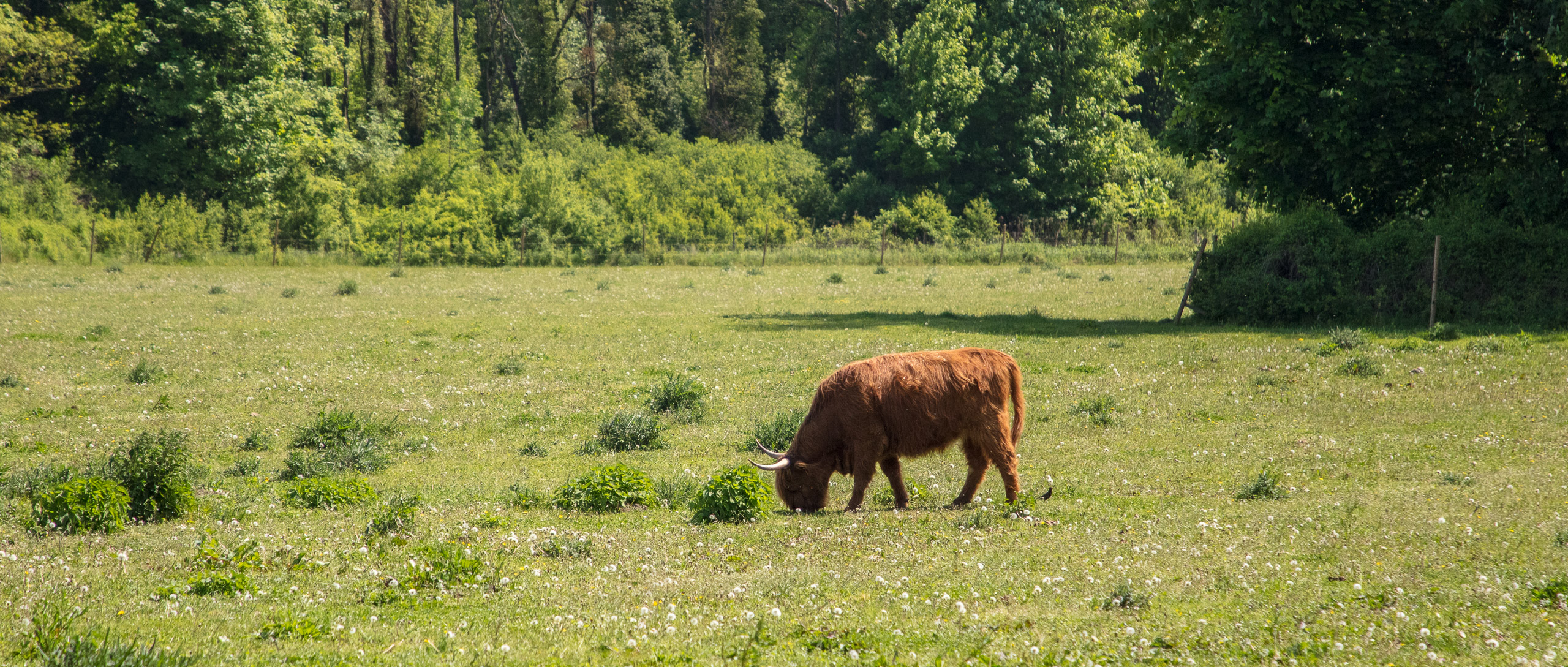 20220508130000 DP017567